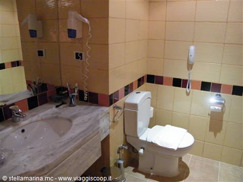 il bagno della camera standard