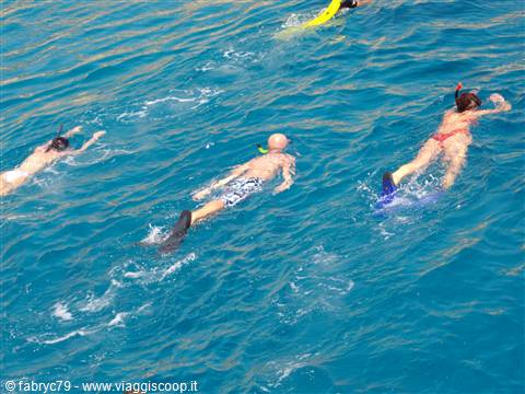 Ras Mohamed Snorkeling