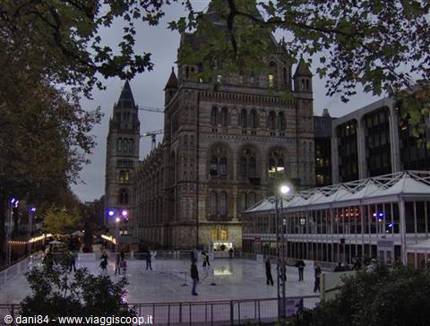 national history museum
