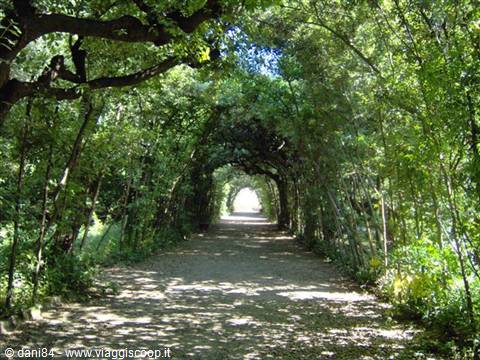 giardino di boboli