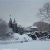 central park STATI UNITI D'AMERICA 