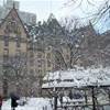 central park STATI UNITI D'AMERICA 