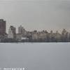 central park STATI UNITI D'AMERICA 