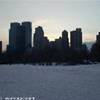 central park STATI UNITI D'AMERICA 