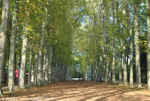 Versailles