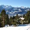  AUSTRIA 