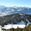  AUSTRIA 
