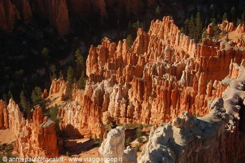 Bryce