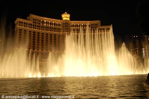 Crazy Las Vegas