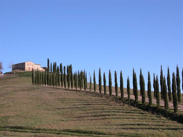 Montalcino