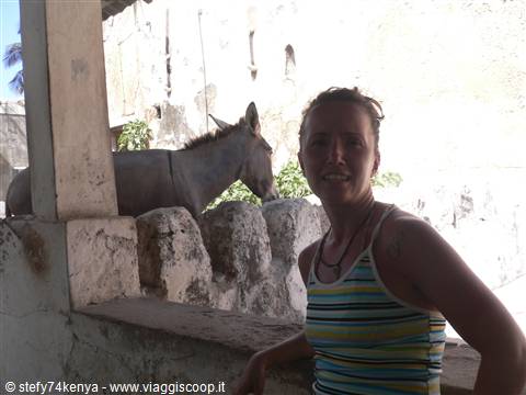 Lamu town