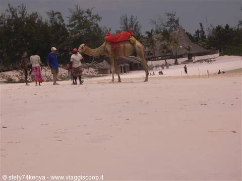 Spiaggia a Watamu
