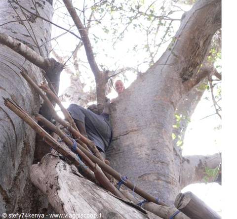 sul grande Baobab