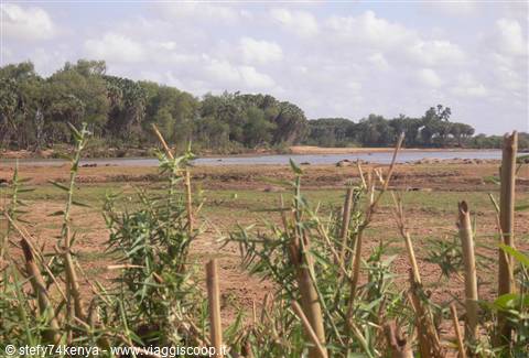 Tsavo
