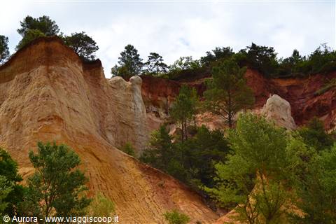 Colorado Provencal