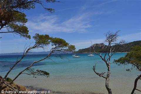 Ile de Porquerolles: isola incontaminata