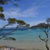 Ile de Porquerolles: isola incontaminata FRANCIA 