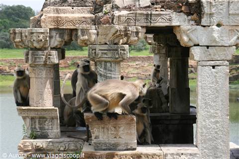 chittaurgarh