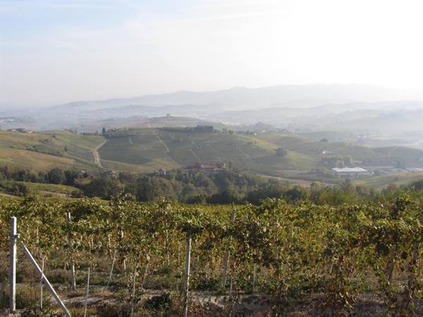 Langhe