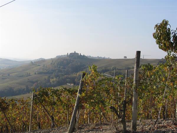 Langhe