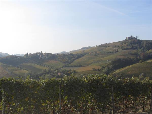 Langhe