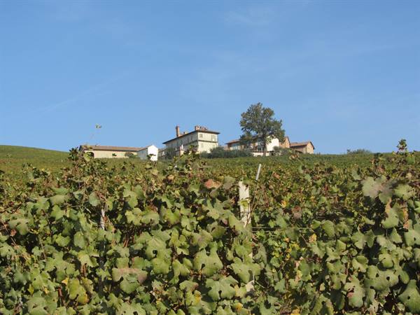 Langhe