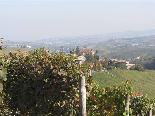 Barolo