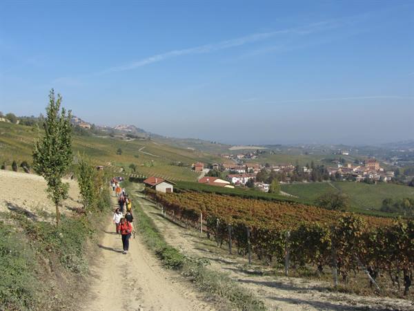 Langhe