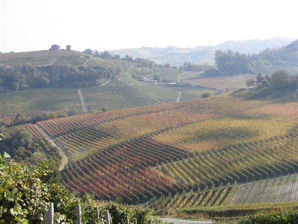 Langhe