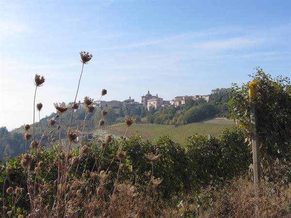 Langhe