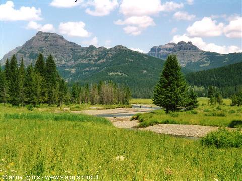 Lamar Valley (Yellowstone -WY)