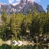 Surprise Lake & Mt Teewinot (Gran Teton NP - WY) STATI UNITI D'AMERICA 