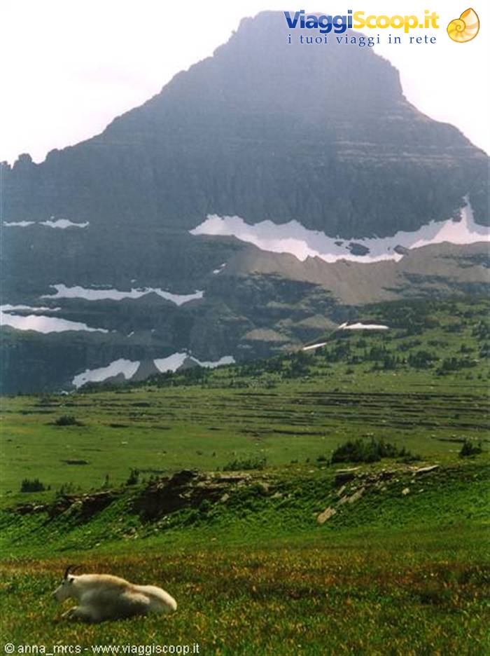 Reynolds Mountain e Mountain Goat 