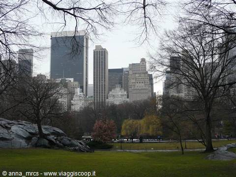 Central Park