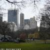 Central Park STATI UNITI D'AMERICA 