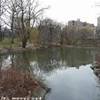 Central park STATI UNITI D'AMERICA 