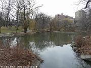 Central park