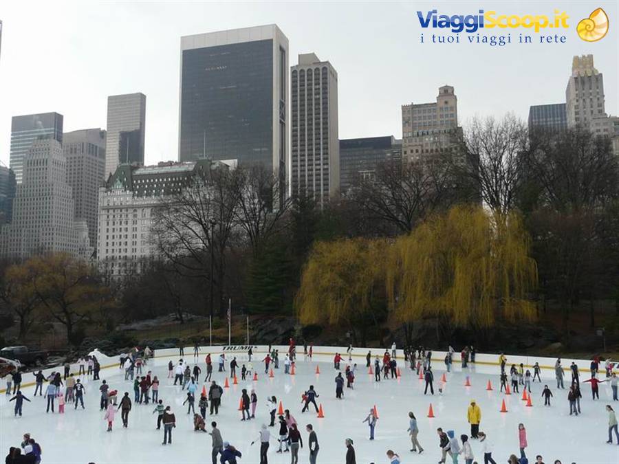 Wollman Rink-Central Park