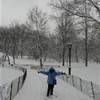 Central Park STATI UNITI D'AMERICA 