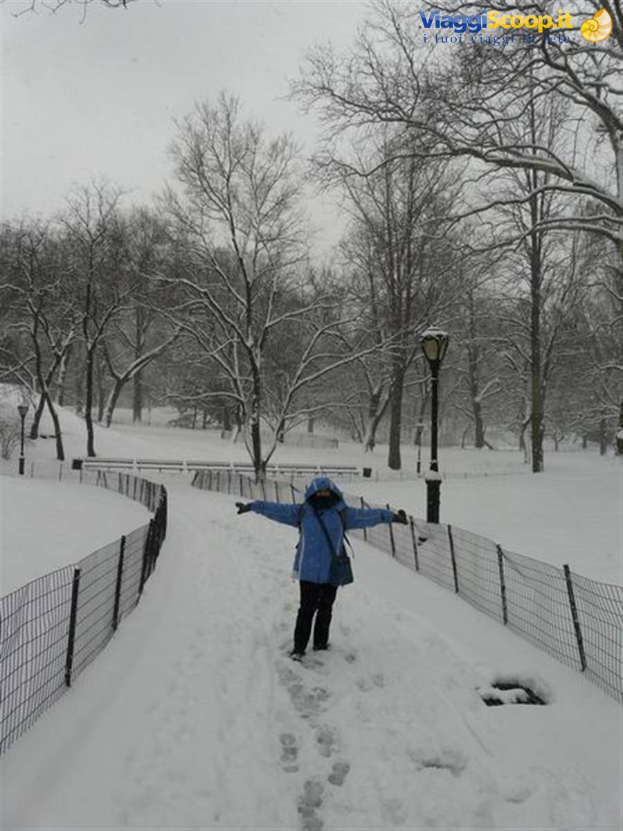 Central Park
