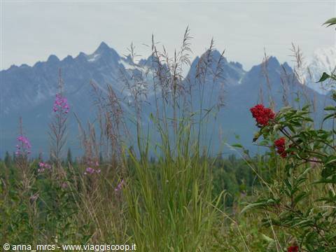 Alaska Range lungo la Parks Highway