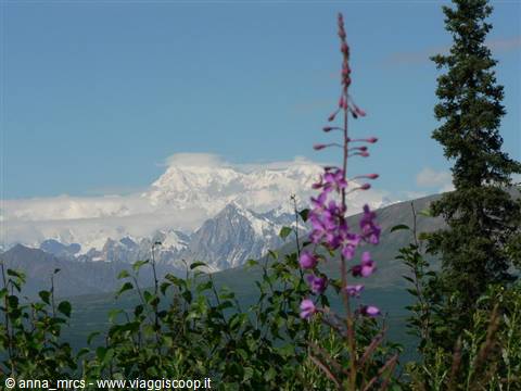 Mt McKinley - Denali National Park