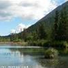 Kenai Peninsula - lungo la Sterling Highway STATI UNITI D'AMERICA 