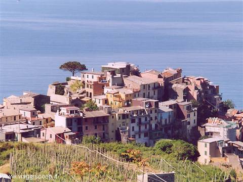L'abitato di Corniglia salendo verso Sella della Croce