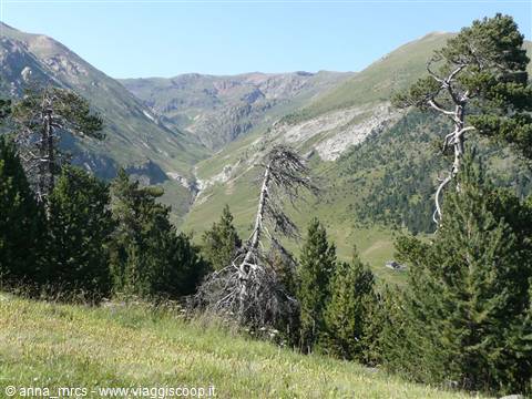 Col Ordino