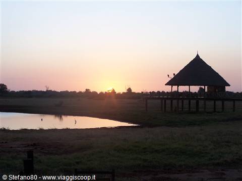 Alba nella Savana