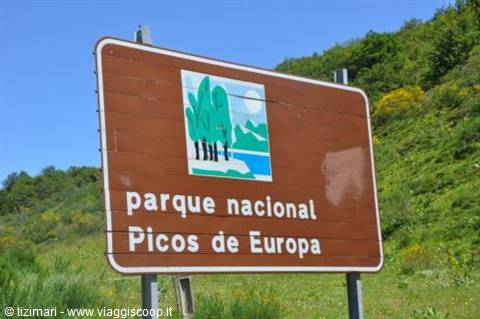 Picos de europa