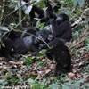 foto viaggio UGANDA