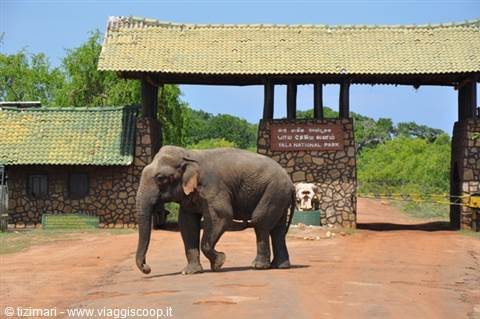 Ingresso dello Yala Park