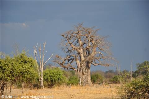South Lwangwe National Park